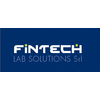 FINTECH LAB SOLUTIONS SRL