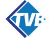 TVB GMBH