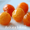 ANKARA LOKMA