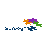 SURVEYIT