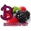 BERRY COMPANY