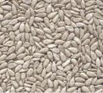 Sunflower Seed Kernels Bakery grade