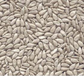 Sunflower Seed Kernels Bakery grade