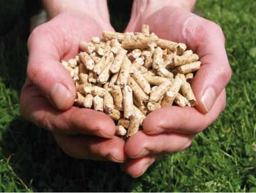 Wood Pellets